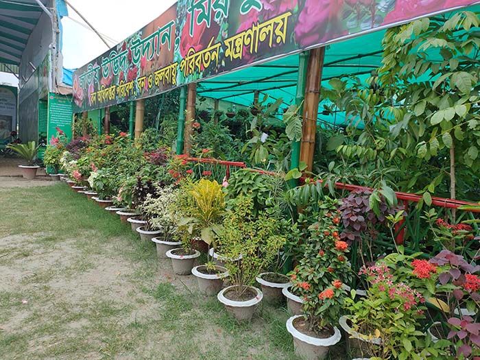 জাতীয় বৃক্ষমেলা শুরু আজ, উদ্বোধন করবেন প্রধানমন্ত্রী শেখ হাসিনা